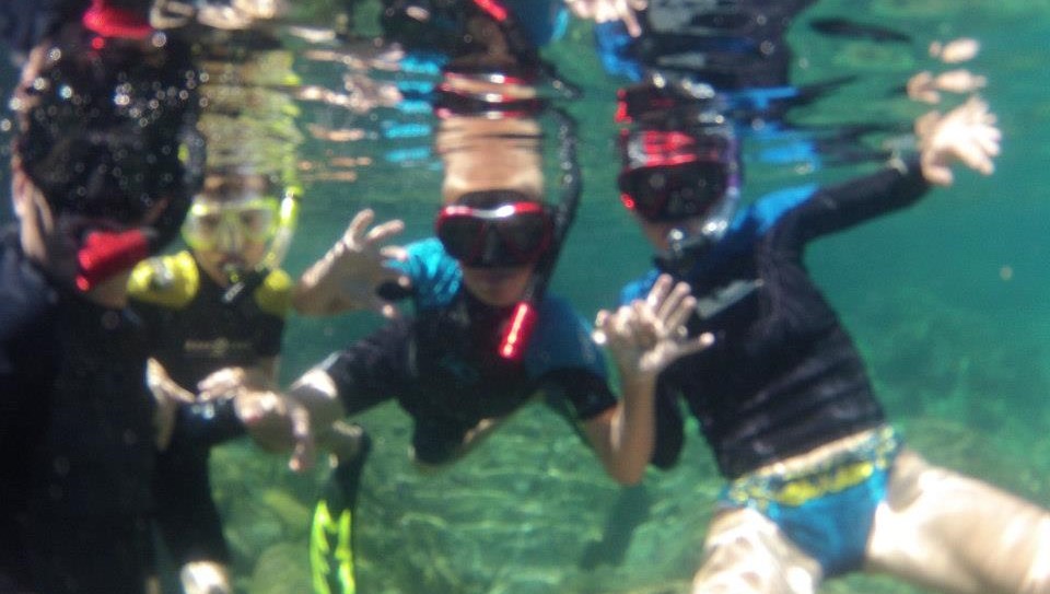 540729_355995217840103_1762236041_n (2)