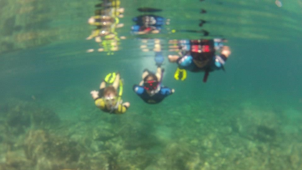 547397_355995371173421_271946467_n (2)