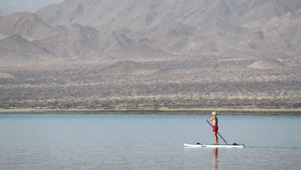 1524719_447168605389430_475473097_n