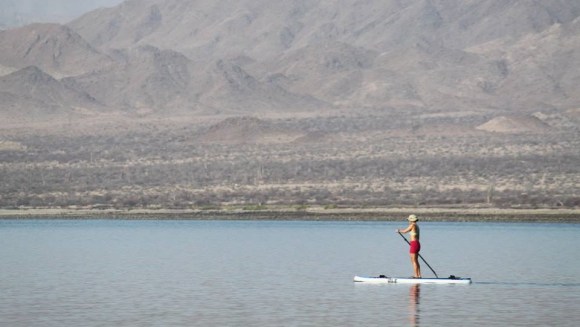 1524719_447168605389430_475473097_n