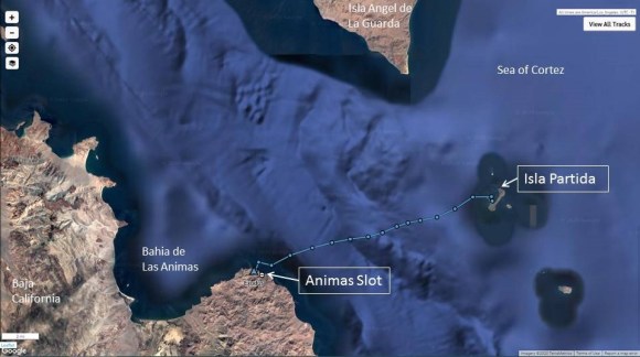 Partida to Animas Slot